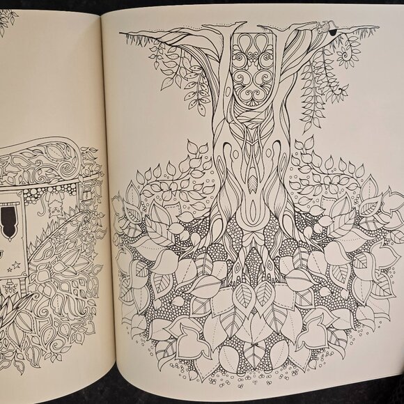 Animal Kingdom and Enchanted Forest Coloring Book (Set of 2) - Picture 11 of 14